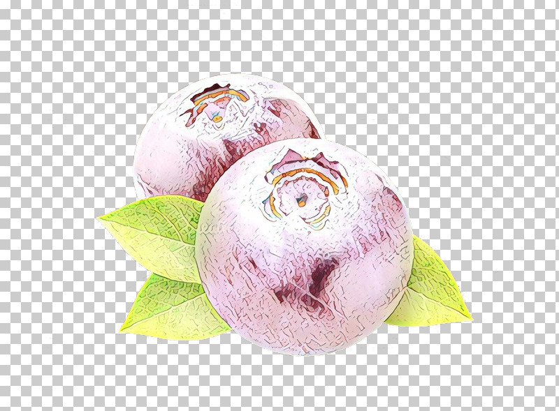 Pink Food Plant Turnip Vegetable PNG, Clipart, Food, Pink, Plant, Turnip, Vegetable Free PNG Download