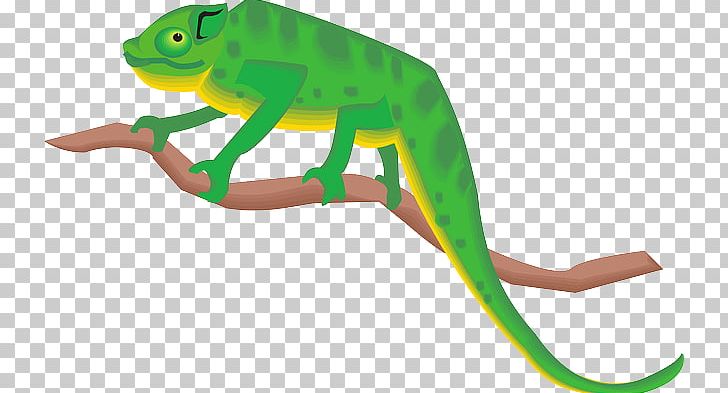 Chameleons PNG, Clipart, Amphibian, Animal Figure, Blog, Bukalemun, Chameleon Free PNG Download