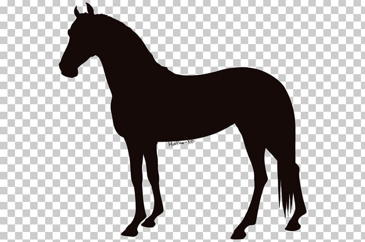 Foal Horse Graphics Illustration PNG, Clipart, Black And White, Bridle, Colt, English Riding, Foal Free PNG Download