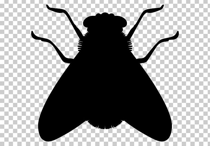 Insect Silhouette Fly PNG, Clipart, Animals, Artwork, Black And White, Butterfly, Computer Icons Free PNG Download