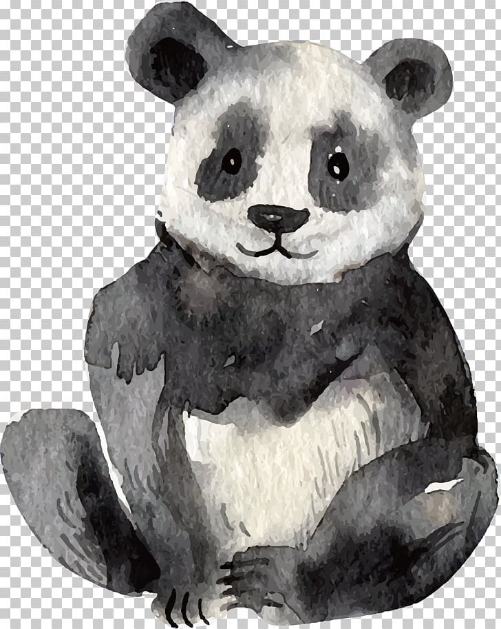 Koala Giant Panda Lemuridae Euclidean Watercolor Painting PNG, Clipart, Animals, Baby Panda, Bear, Carnivoran, Chinese Panda Free PNG Download