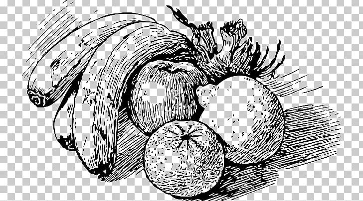 Line And Form: "Illustrated Drawing Book" Fruit Sketch PNG, Clipart, Art, Art Museum, Artwork, Black And White, Canvas Print Free PNG Download