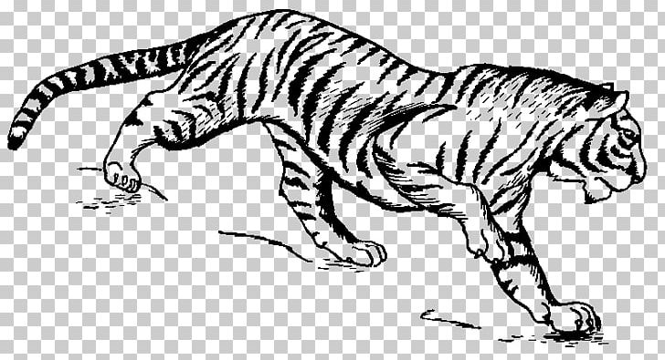Tiger Drawing Cat Watercolor Painting PNG, Clipart, Art, Artwork, Big Cats, Bla, Black Free PNG Download