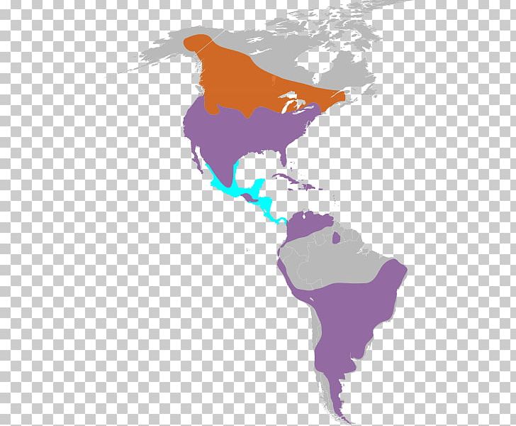 United States South America World Map World Map PNG, Clipart, Americas, Art, Blank Map, Continent, Falco Free PNG Download