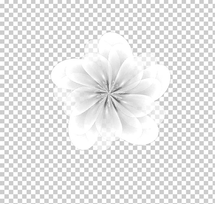 White Petal Flower PNG, Clipart, Black, Black And White, Flower, Nature, Petal Free PNG Download