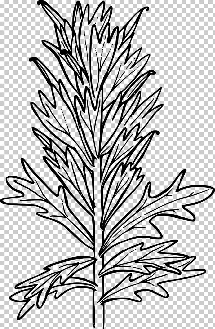 Paintbrush PNG, Clipart, Black And White, Branch, Brush, Coloring Book, Coloring Pages Free PNG Download