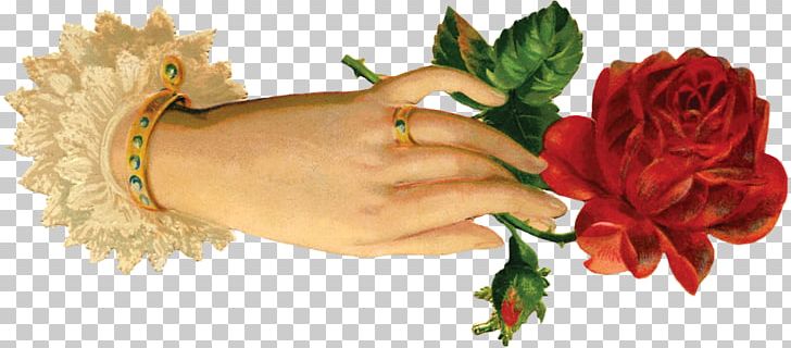 Paper Flower Rose Floral Design PNG, Clipart, Antique, Art, Blue Rose, Clip Art, Cut Flowers Free PNG Download