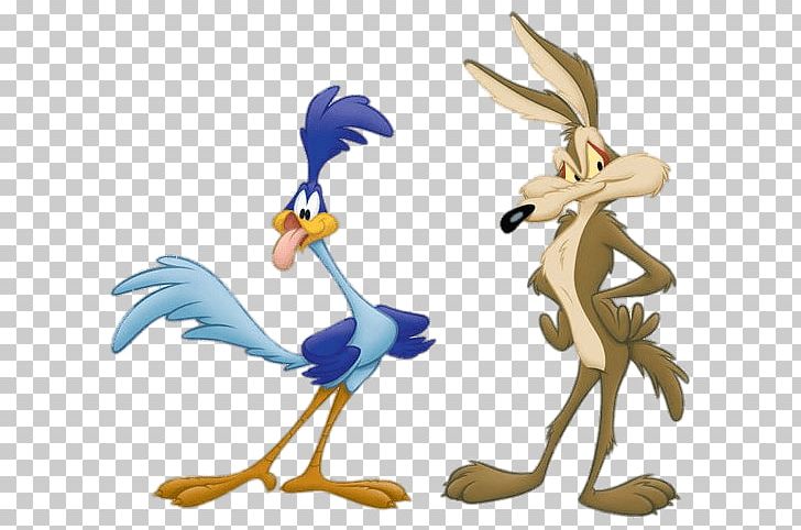 Wile E. Coyote And The Road Runner Looney Tunes PNG, Clipart, Acme Corporation, Anim, Bird, Cartoon, Chicken Free PNG Download