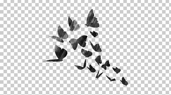 BTS Desktop PicsArt Photo Studio PNG, Clipart, Angle, Animals, Birds, Black, Black And White Free PNG Download