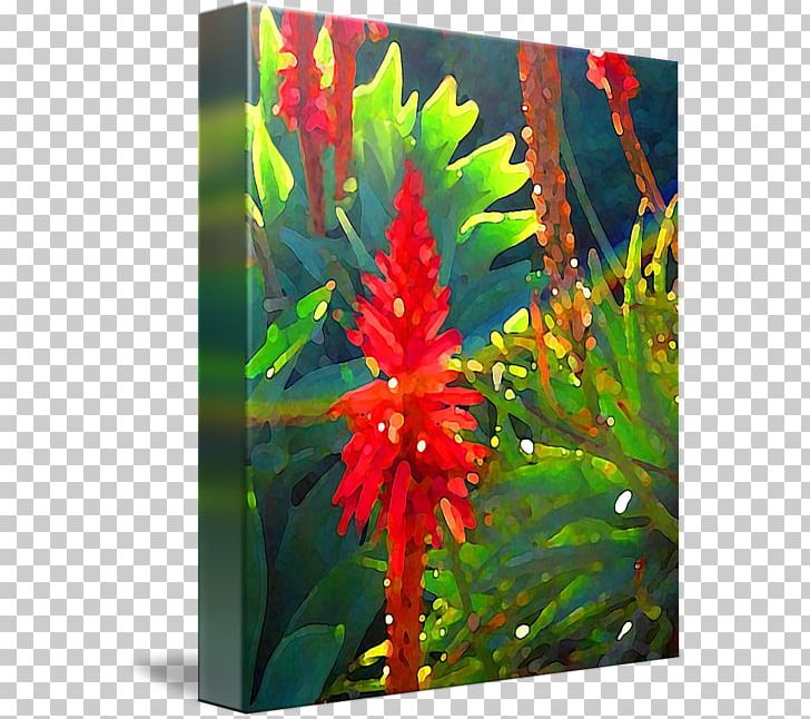 Canvas Art Flowering Plant Aquatic Plants PNG, Clipart, Aloe Arborescens, Aquarium, Aquarium Decor, Aquatic Plant, Aquatic Plants Free PNG Download