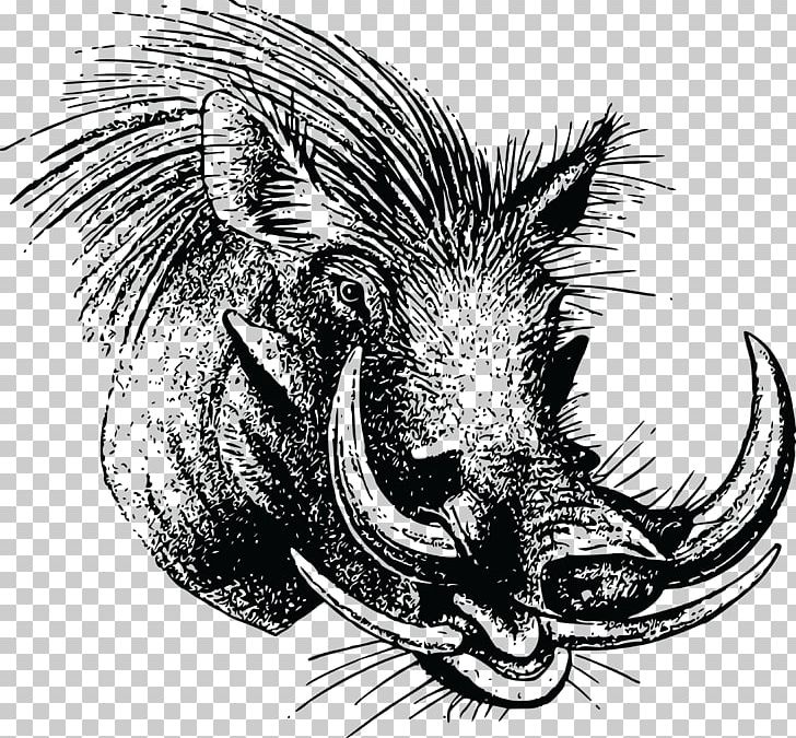 Wild Boar Common Warthog PNG, Clipart, Animal, Animals, Black And White, Boar, Drawing Free PNG Download