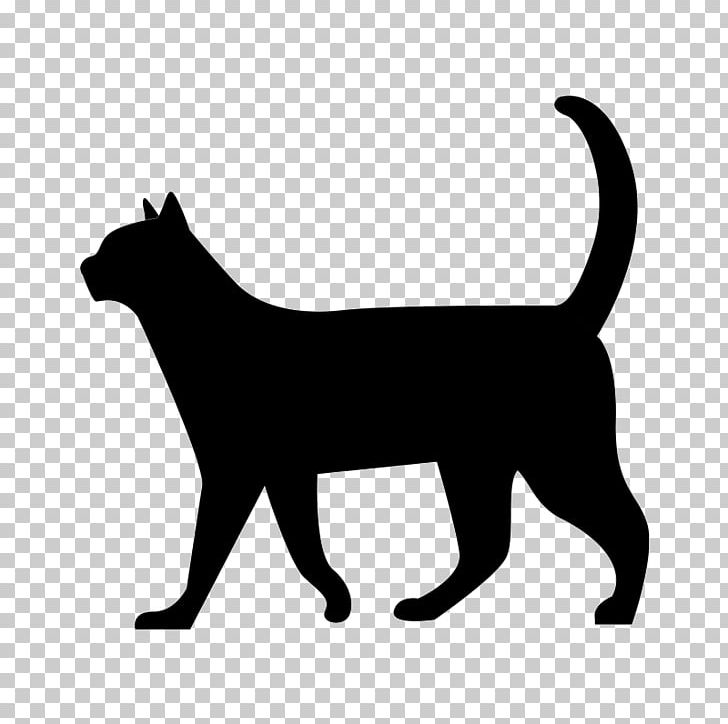 Cat Kitten Silhouette PNG, Clipart, Ani, Black, Black And White, Black Cat, Carnivoran Free PNG Download