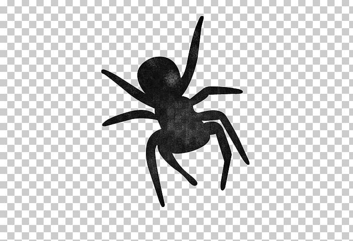 Momentum Pest Control Insect Bedbug PNG, Clipart, Arachnid, Arthropod, Bed Bug, Bedbug, Black And White Free PNG Download