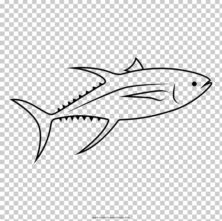 Coloring Book Drawing Sushi Atlantic Bluefin Tuna Albacore PNG, Clipart, Albacore, Area, Artwork, Atlantic Bluefin Tuna, Atum Free PNG Download