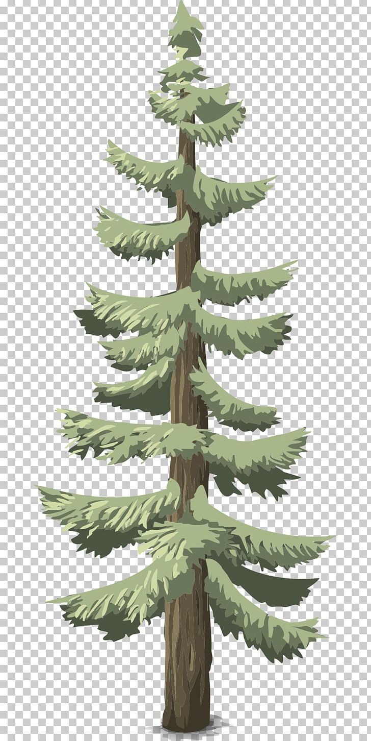 Pine Conifers Tree Conifer Cone Evergreen PNG, Clipart, Branch, Christmas Decoration, Christmas Ornament, Christmas Tree, City Of Trees Free PNG Download