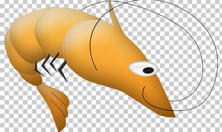 Caridea Insect PNG, Clipart, Animal, Beak, Blog, Caridea, Carnivora Free PNG Download