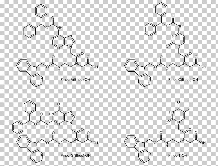 Peptide Nucleic Acid Oligonucleotide Oligomer A-DNA PNG, Clipart, Angle, Area, Auto Part, Black And White, Circle Free PNG Download