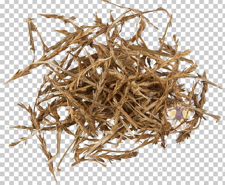 Tumbleweed Solyanka Salsola Dianhong Price PNG, Clipart, Baihao Yinzhen, Commodity, Dianhong, Earl Grey Tea, Golden Monkey Tea Free PNG Download