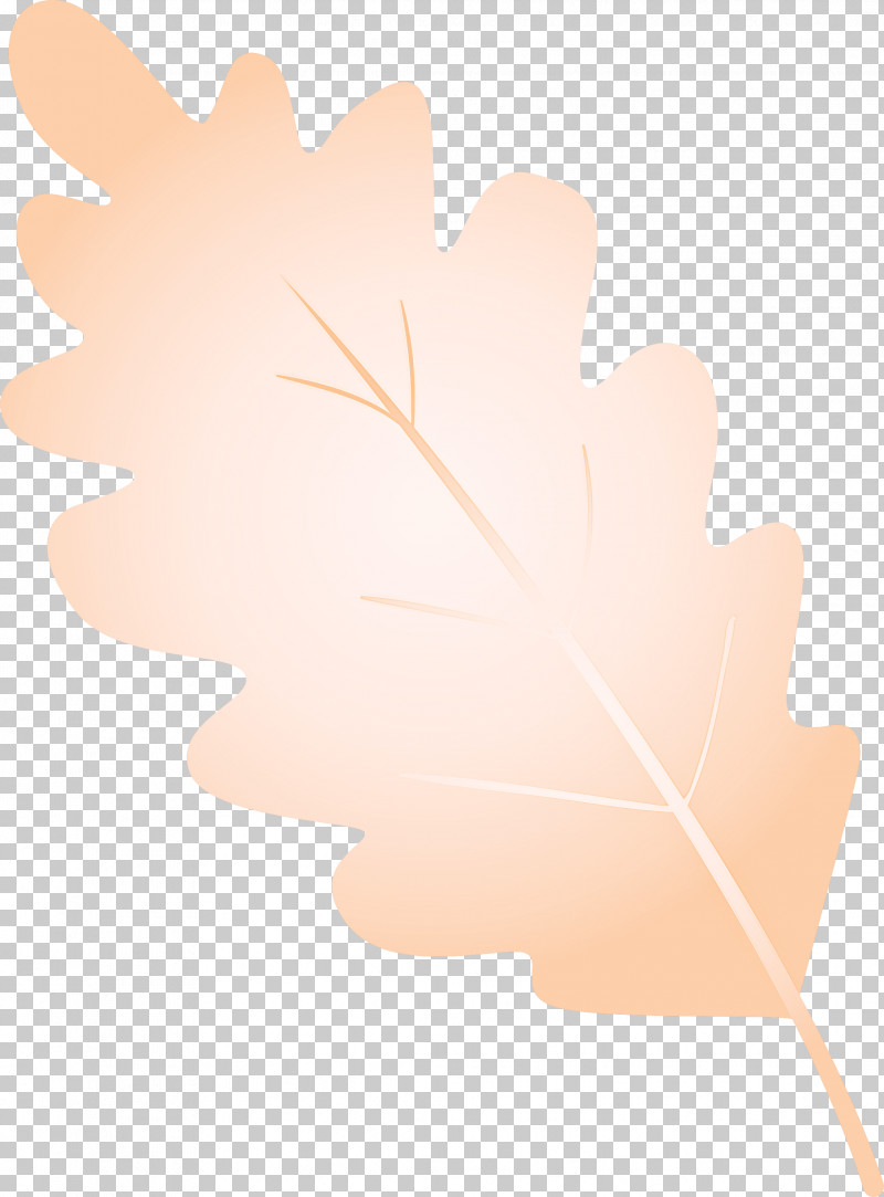 Maple Leaf PNG, Clipart, Hand, Leaf, Maple Leaf, Plane, Plant Free PNG Download