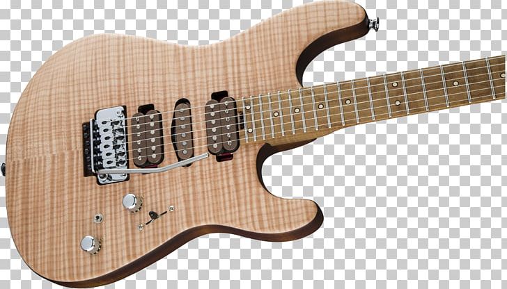 Bass Guitar Acoustic-electric Guitar Charvel PNG, Clipart, Acoustic Electric Guitar, Acousticelectric Guitar, Acoustic Guitar, Guitar, Guitar Accessory Free PNG Download