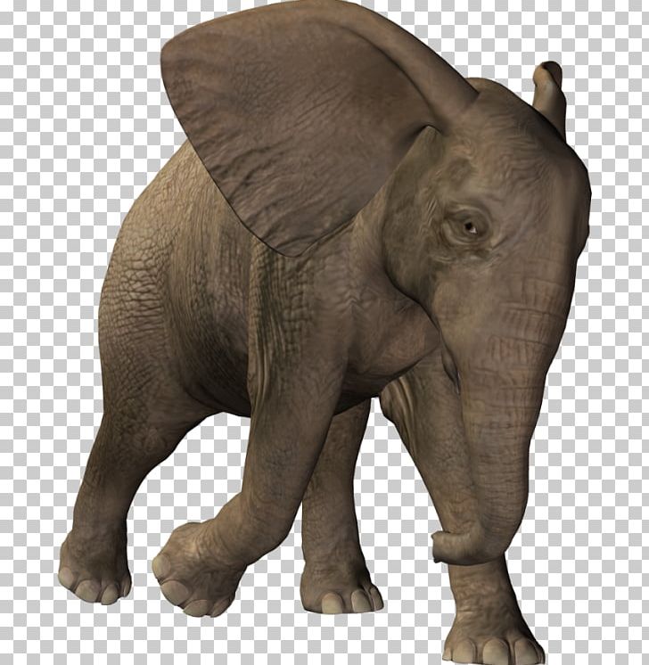 Indian Elephant African Elephant Raster Graphics PNG, Clipart, African Elephant, Animals, Digital Image, Elephant, Elephantidae Free PNG Download