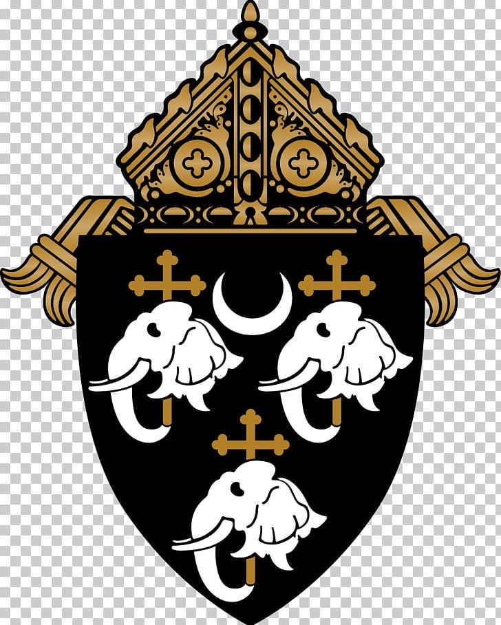 Roman Catholic Diocese Of Camden St. Joseph Pro-Cathedral Bishop Parish PNG, Clipart, Apostle, Bishop, Camden, Catholic Charities, Catholicism Free PNG Download