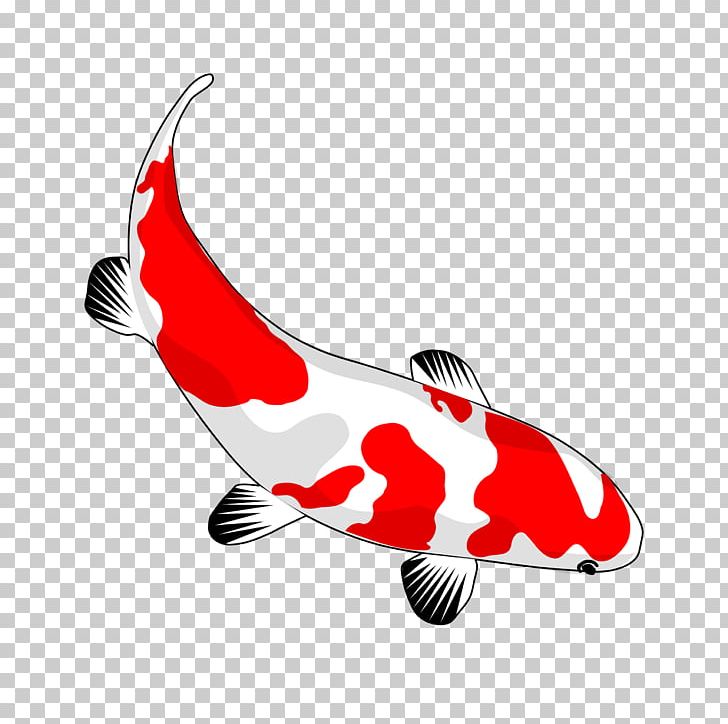 Koi Pond Goldfish Carp PNG, Clipart, Aquarium, Carp, Cartoon, Common Carp, Drawing Free PNG Download