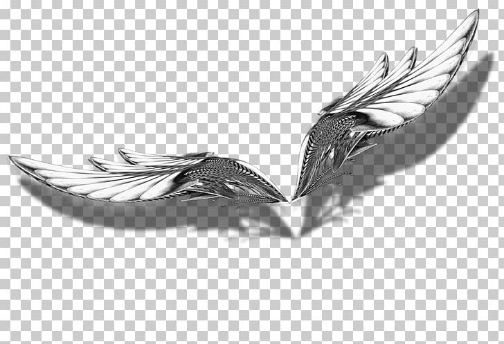 Silver PNG, Clipart, Black And White, Feather, Jewelry, Silver, Wing Free PNG Download