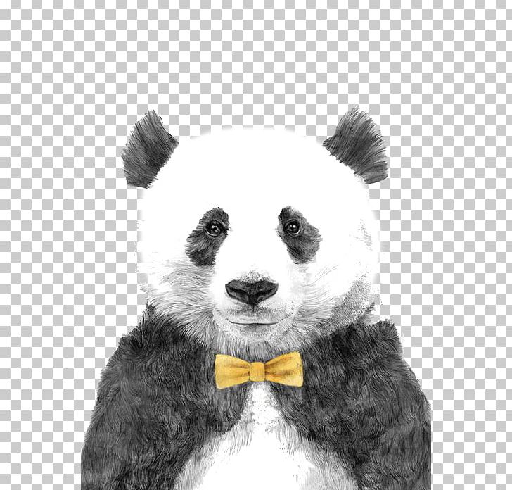 Giant Panda Bear Drawing Illustration PNG, Clipart, Animal, Animals, Art, Baby Panda, Bear Free PNG Download