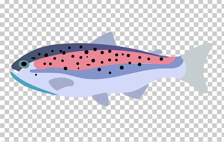Rainbow Trout Fish Drawing PNG, Clipart, Angling, Animals, Childrens, Childrens Style, Color Free PNG Download