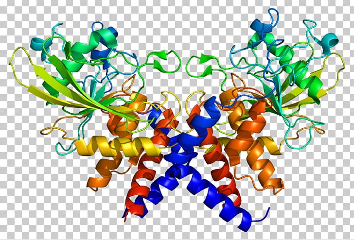 Replication Protein A3 Single-stranded Binding Protein Replication Protein A1 PNG, Clipart, Artwork, Dna Replication, E Coli, Enzyme, Gene Free PNG Download