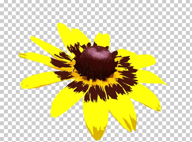 Sunflower Seed Sunflower M Sunflowers Pollen PNG, Clipart, Daisy Family, Flower, Flowering Plant, Others, Petal Free PNG Download