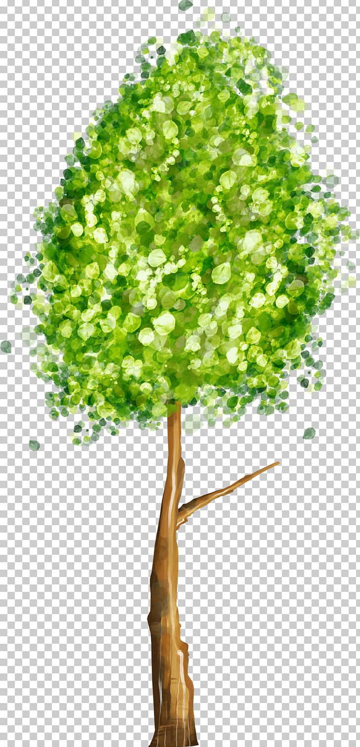 Ficus Religiosa Drawing Cartoon PNG, Clipart, Banyan, Branch, Cartoon, Drawing, Ficus Religiosa Free PNG Download