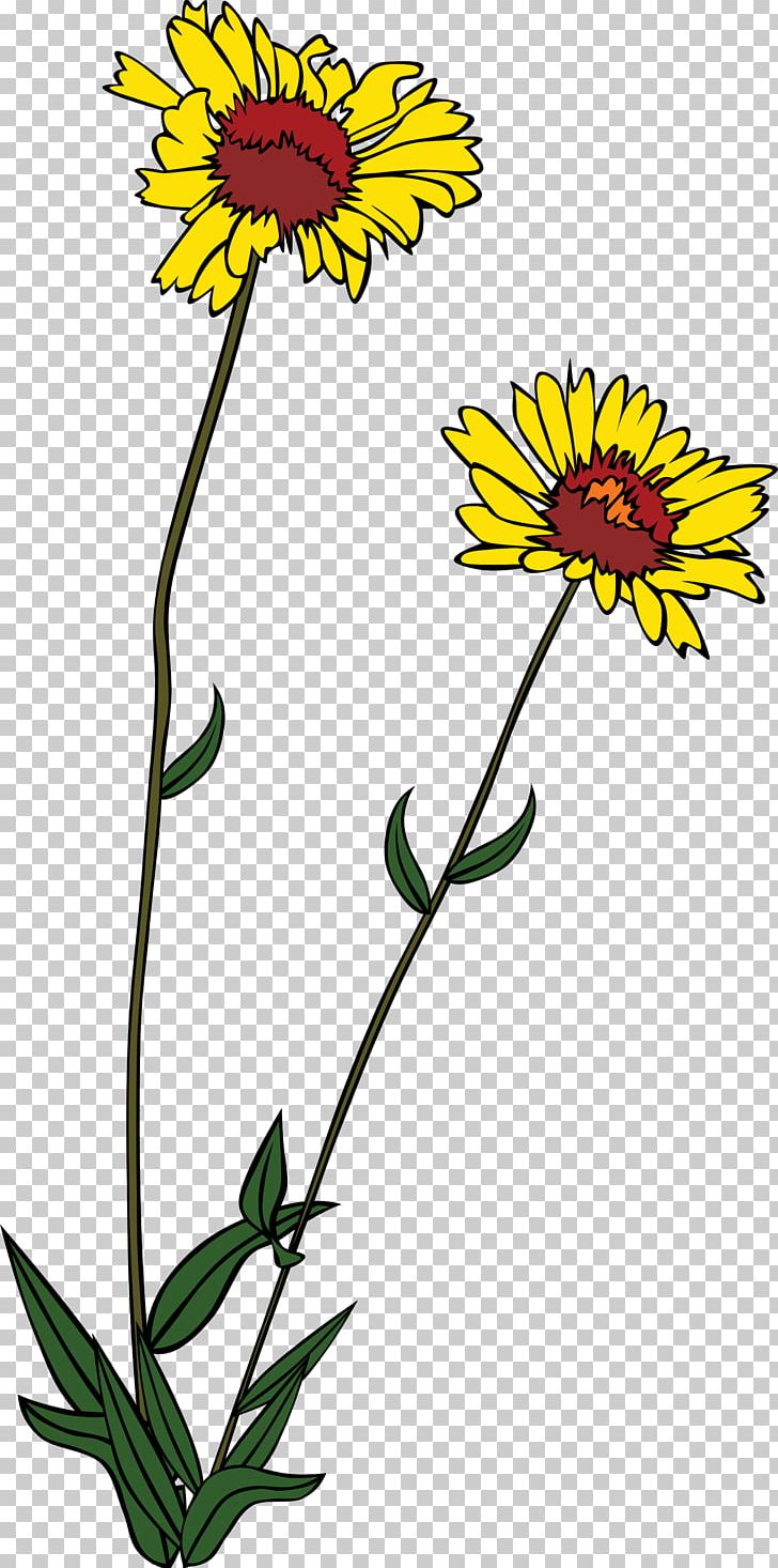 Wildflower PNG, Clipart, Artwork, Black And White, Chrysanths, Computer Icons, Cut Flowers Free PNG Download