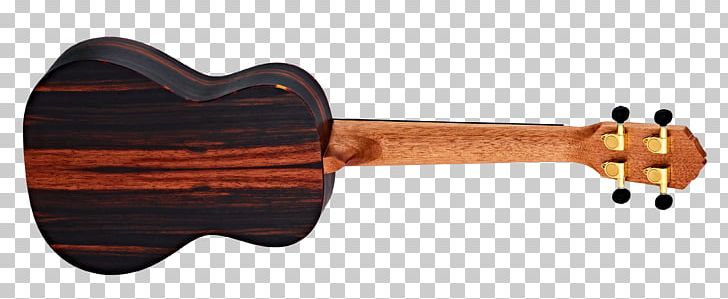 Acoustic Guitar Ukulele Musical Instruments Bass PNG, Clipart, Acoustic Guitar, Acoustic Music, Bass, Concert, Contemporary Folk Music Free PNG Download