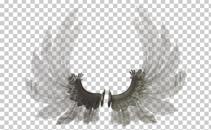 .by 0 PNG, Clipart, 3 D Render, 5 February, 2017, Angel Wings, Deviantart Free PNG Download