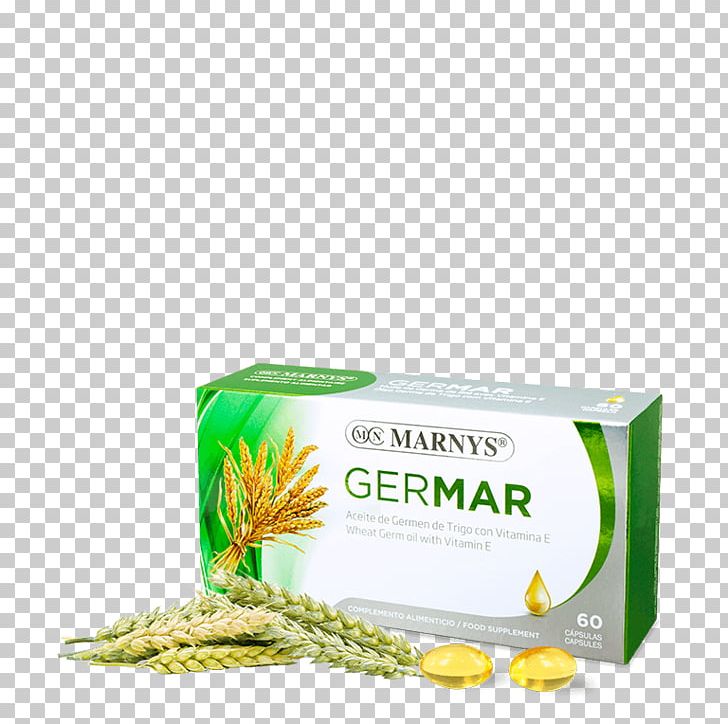 Dietary Supplement Wheat Germ Oil Capsule Cereal Germ Vitamin PNG, Clipart, Almond Oil, Capsule, Cereal Germ, Dietary Supplement, Echinacea Angustifolia Free PNG Download