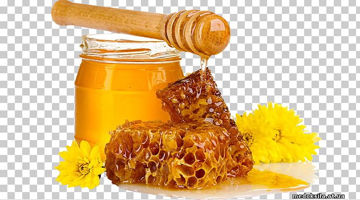 Honey Bee Breakfast Sugar Food PNG, Clipart, Bee, Beekeeper, Beekeeping, Breakfast, Cuisine Free PNG Download