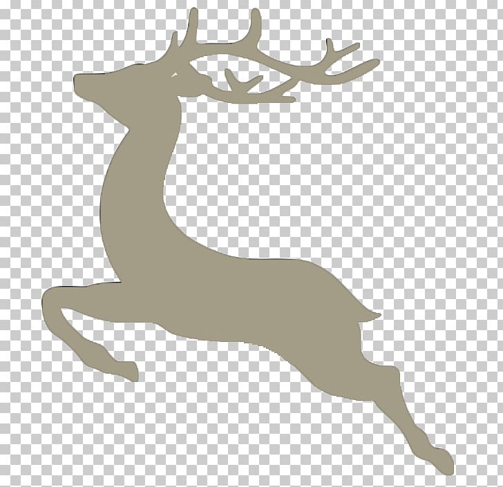 Silhouette Plotter PNG, Clipart, Animals, Antler, Computer Icons, Deer, Drawing Free PNG Download