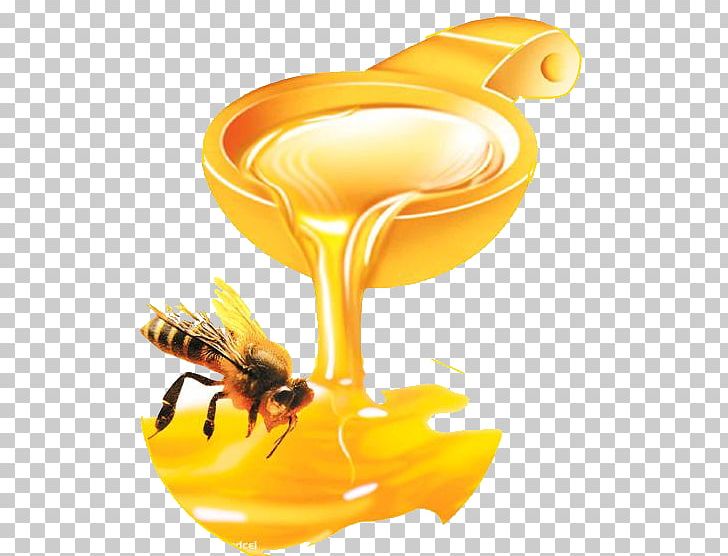 Honey Bee Honey Bee Pancake Food PNG, Clipart, Aganetha Dyck, Bee, Beehive, Bee Pollen, Bees Honey Free PNG Download