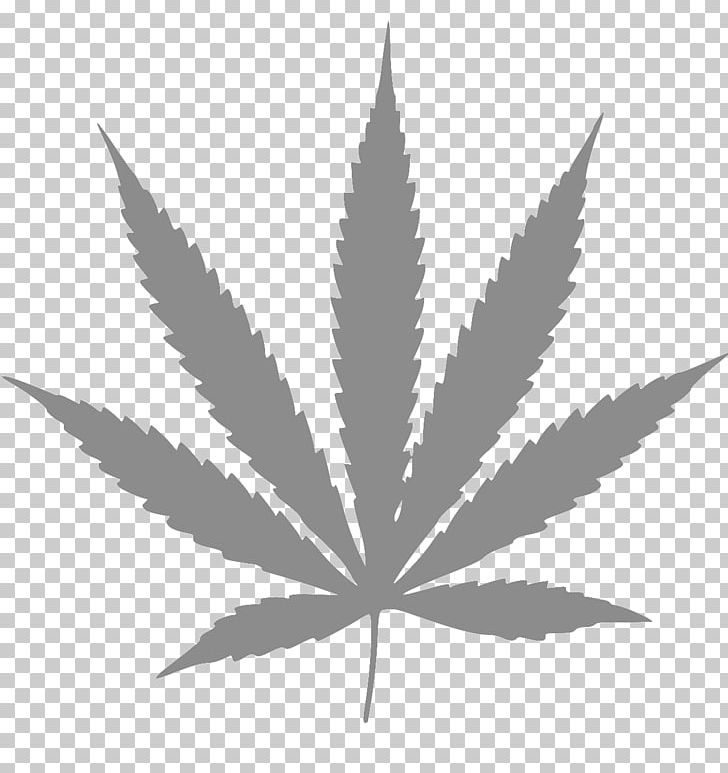 Cannabis Ruderalis Leaf Medical Cannabis PNG, Clipart, Black And White, Cannabis, Cannabis Ruderalis, Cannabis Sativa, Cannabis Smoking Free PNG Download