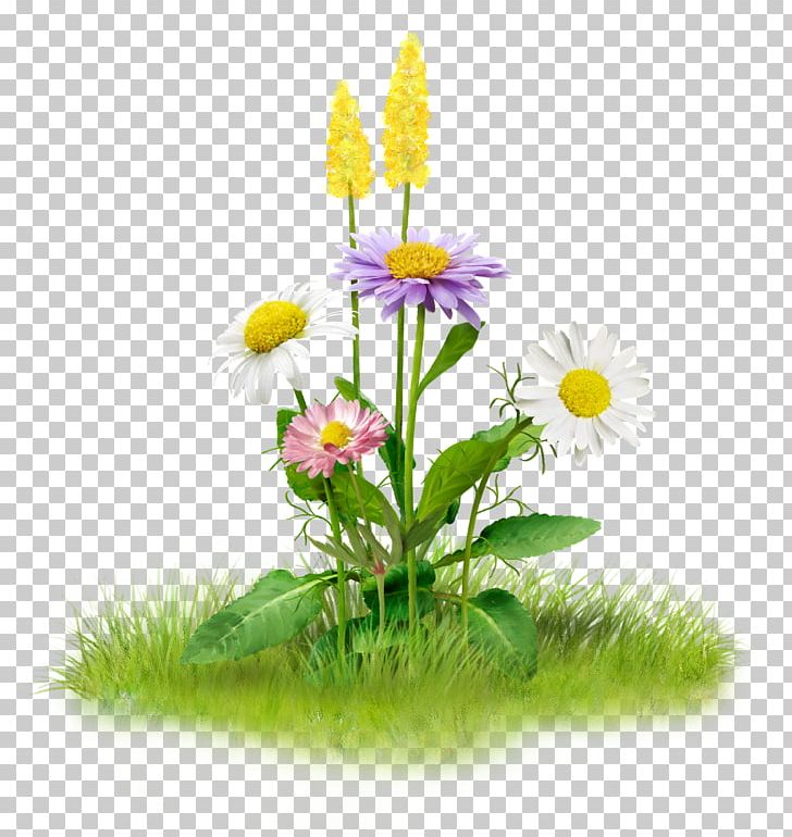 Flower Arranging Others Grass PNG, Clipart, Cartoon, Clip Art, Daisy, Daisy Family, Dandelion Free PNG Download