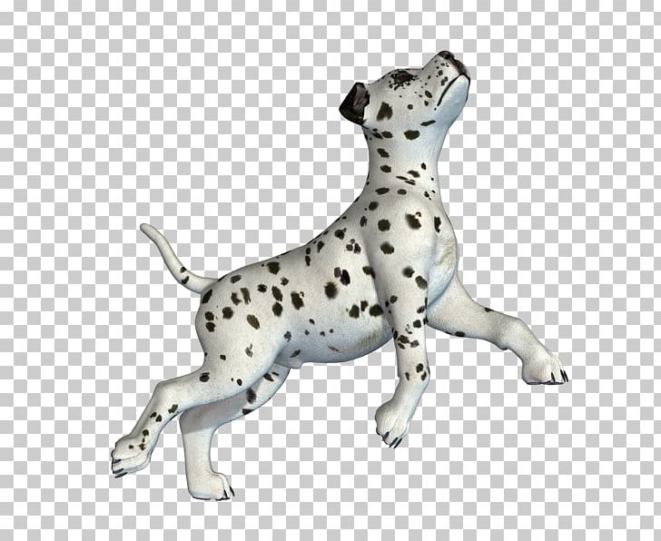 Dalmatian Dog Dog Breed Companion Dog Non-sporting Group Snout PNG, Clipart, Animal Figure, Breed, Carnivoran, Companion Dog, Dalmatian Free PNG Download