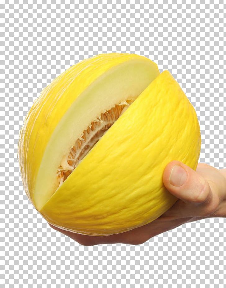 Honeydew Galia Melon Yellow Gourd PNG, Clipart, Citrullus Lanatus, Closeup, Commodity, Food, Fruit Free PNG Download