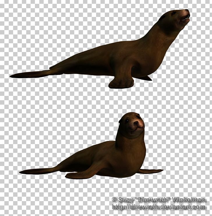 Sea Lion Marine Mammal Aquatic Animal Pinniped PNG, Clipart, Animal, Animals, Aquatic Animal, Fauna, Horse Free PNG Download