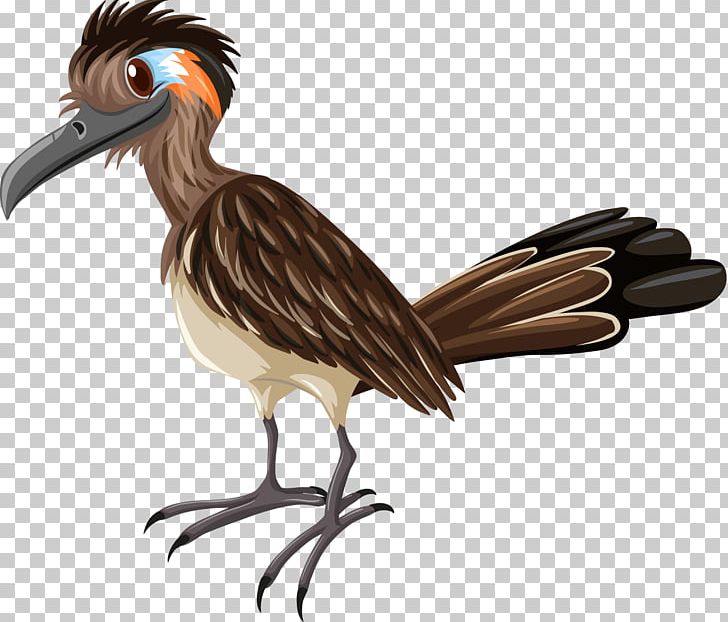 Woodpecker Bird PNG, Clipart, Animals, Beak, Bird, Bird Of Prey, Coraciiformes Free PNG Download