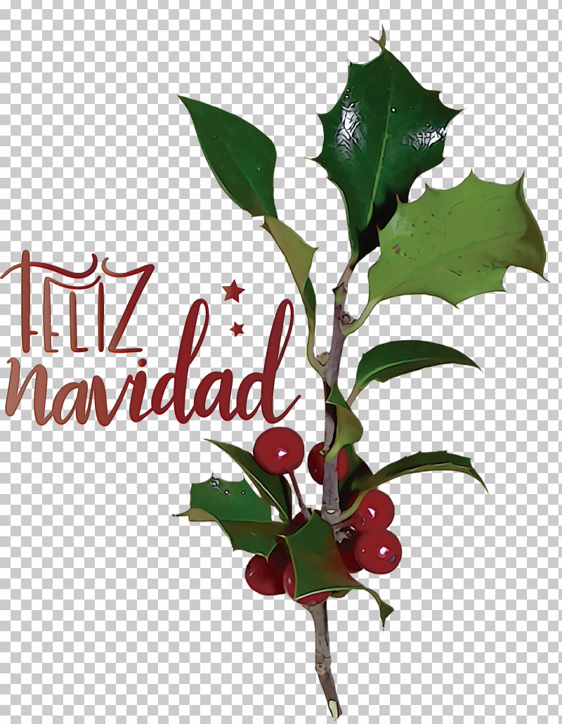 Feliz Navidad Merry Christmas PNG, Clipart, Aquifoliaceae, Aquifoliales, Biology, Branching, Feliz Navidad Free PNG Download