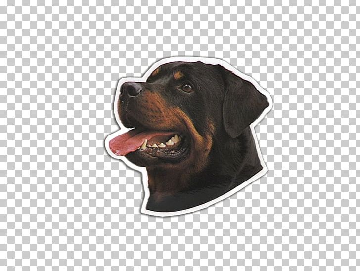 Black And Tan Coonhound Rottweiler Dog Breed Snout PNG, Clipart, Black And Tan Coonhound, Black Tan, Bmw 4 Series, Breed, Car Free PNG Download