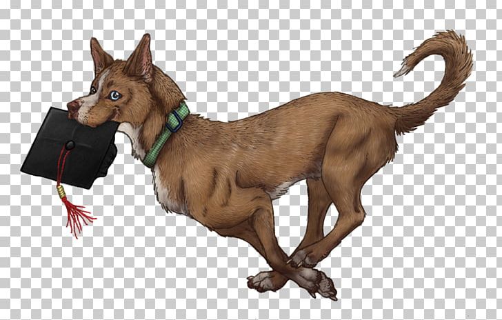 Dog Breed Leash Digital Animal 7 July PNG, Clipart, 7 July, Animals, Breed, Carnivoran, Digital Animal Free PNG Download