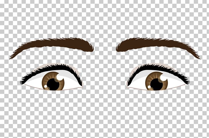 Eyebrow Pupil Blog PNG, Clipart, 2016, Anatomia, Blog, Drawing, Eye Free PNG Download